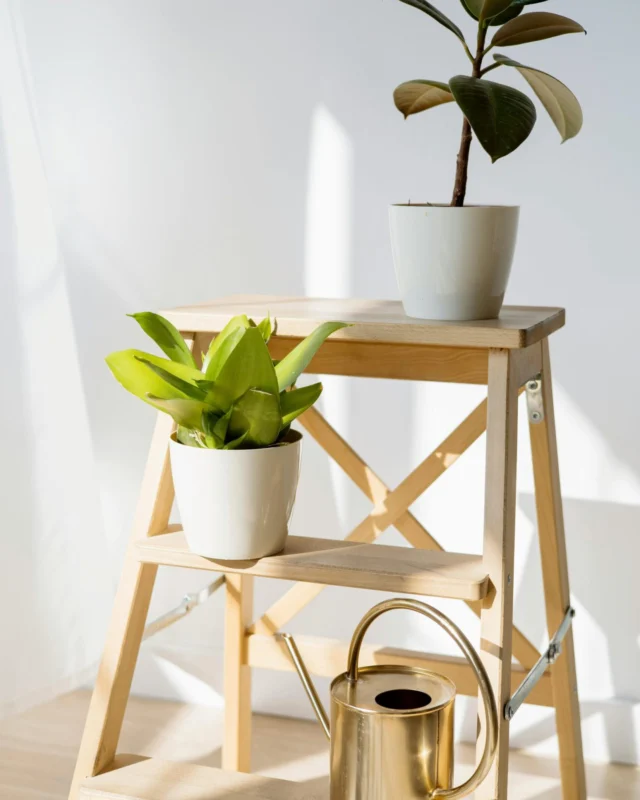 Als er een seizoen staat voor een nieuw begin dan is dat wel de lente! De lente is hét seizoen van vernieuwing en frisheid en niet alleen om je garderobe te vernieuwen, maar ook je huis. Je hoeft hiervoor niet je halve huis te verbouwen of allemaal nieuwe dingen aan te schaffen. Nee hoor, met een paar slimme aanpassingen heb je een budgetvriendelijk en lenteproof huis. In deze blog vind je mijn favoriete tips om jouw huis lenteproof te maken zonder al te veel geld uit te geven. Ruil de donkere kleuren in voor lichte kleuren…...
•
#linkinbio #dutchblogger #plussizeblogger #spring #interior #homesweethome #homeiswheretheheartis #springtime #springeseason